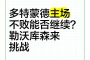 华体会体育赛事直播-多特蒙德主场0-1不敌勒沃库森，遭遇两连败
