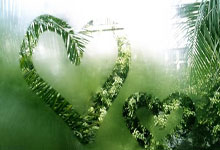 华体会官方入口-德国逆转罗马尼亚！客场力克对手，领跑小组