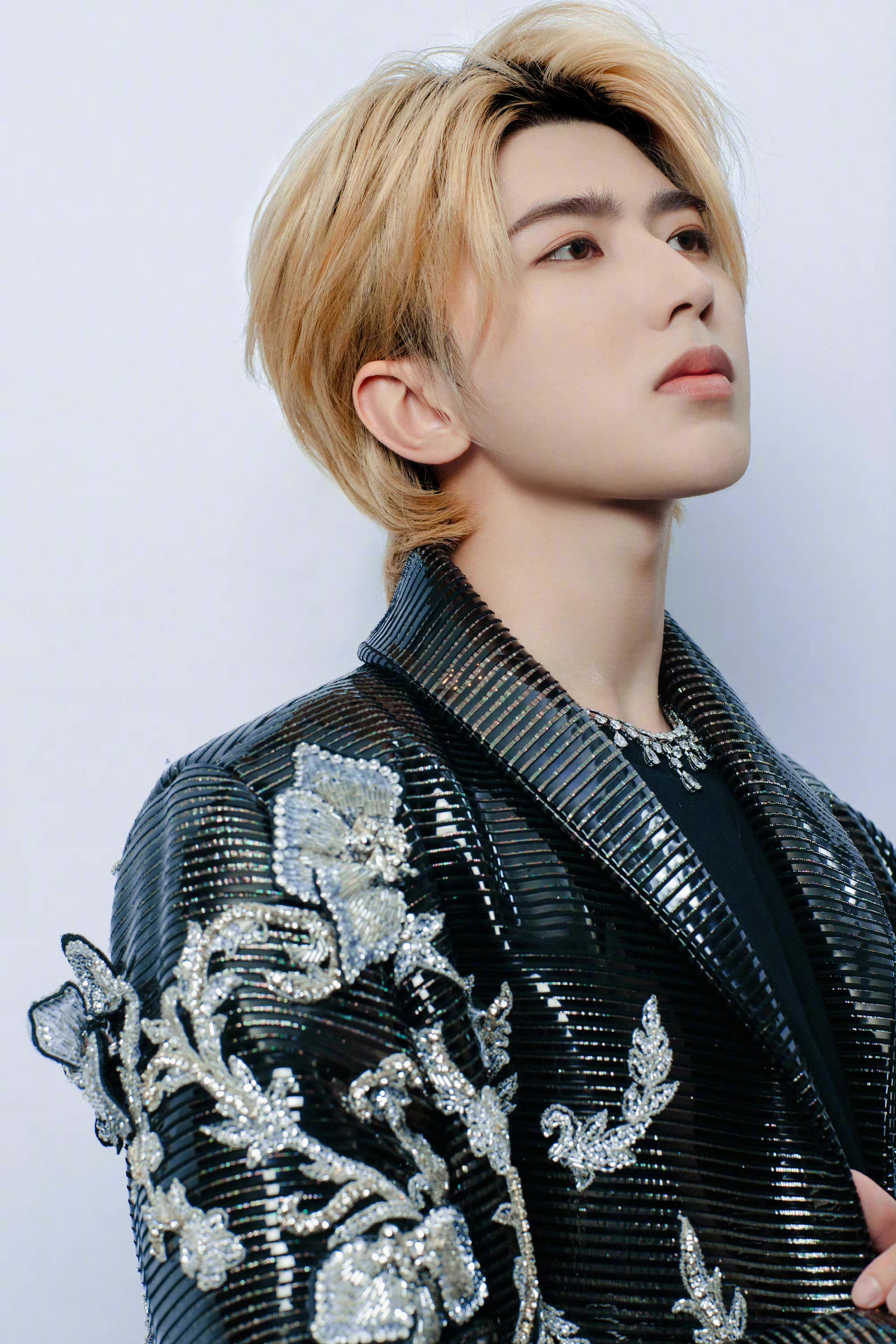 新秀崭露头角，逐渐步入光芒舞台