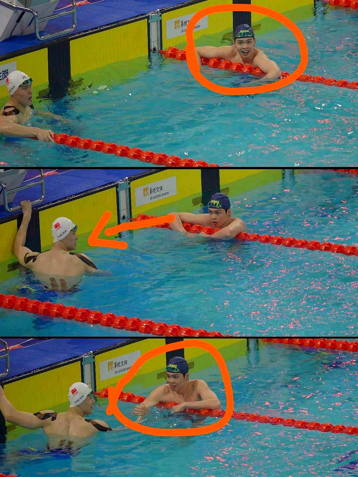 游泳选手努力划水，冲刺终点线