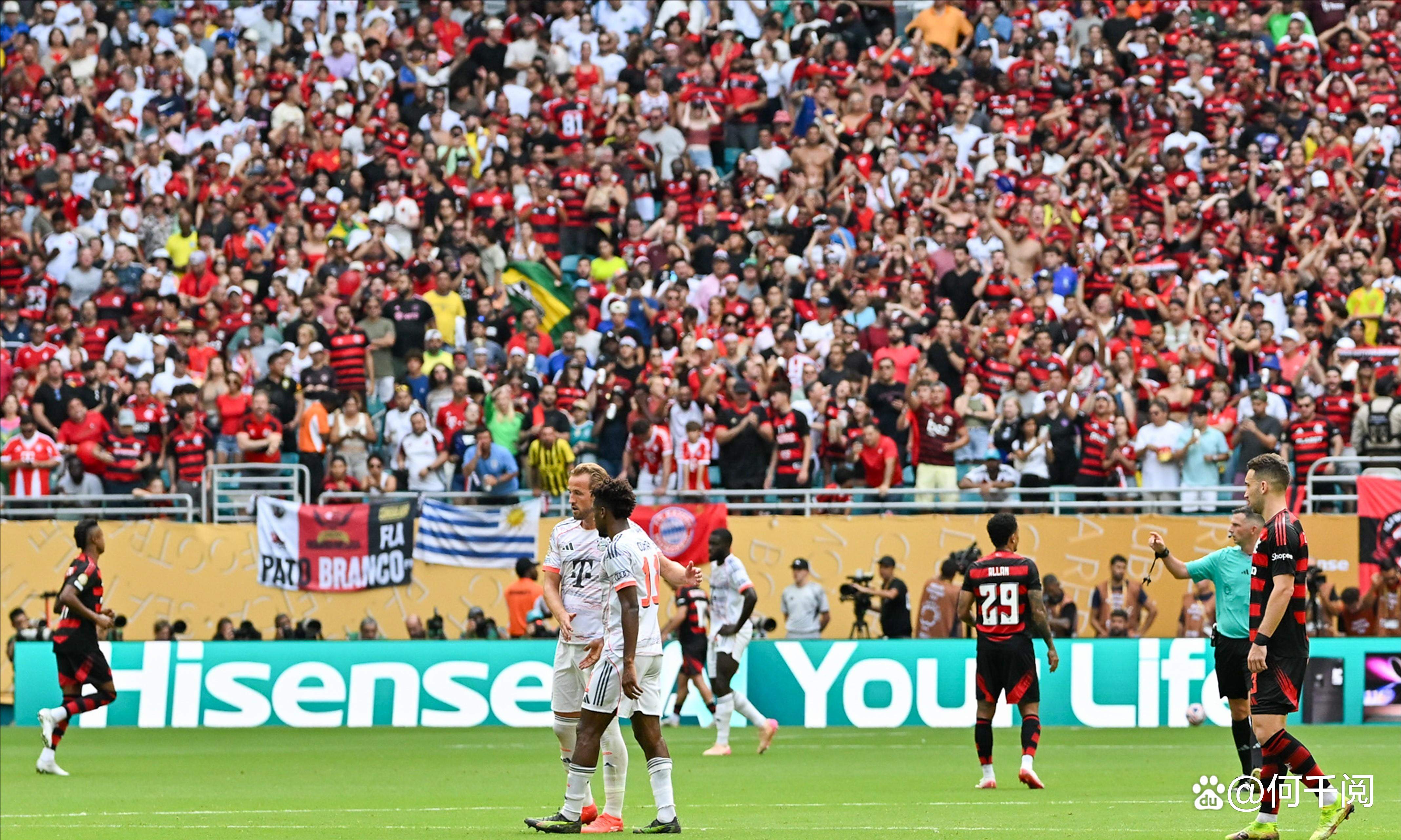 拜仁青年主场横扫对手，完美收官